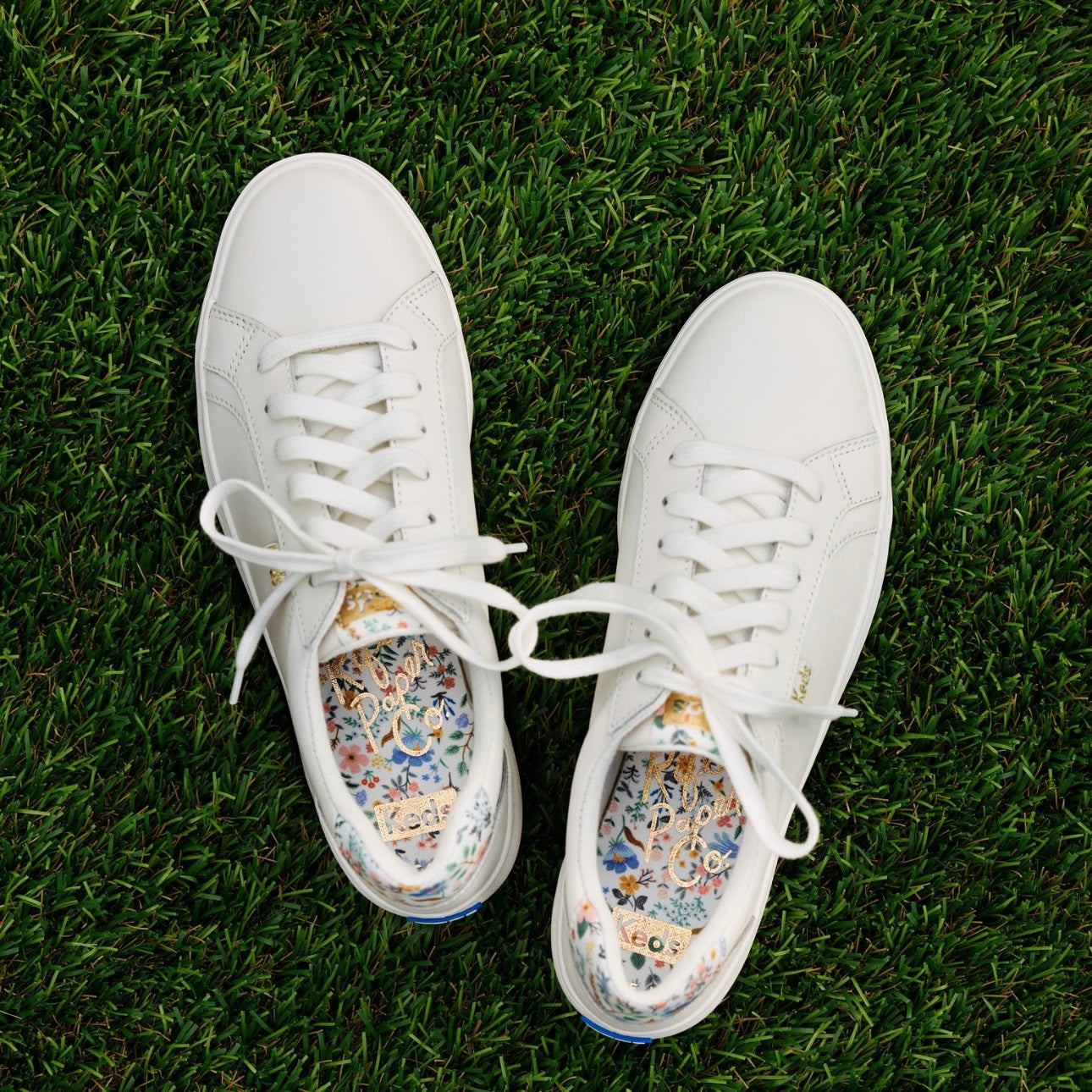 Women's Pursuit Rifle Paper Co. Bramble Fields White – Keds Australia